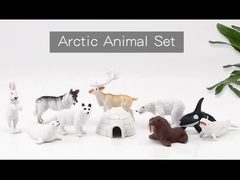 شخصية حيوانات البحر